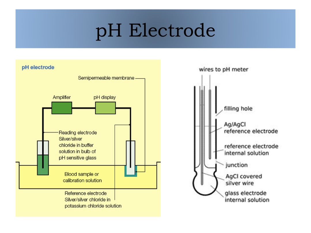pH Electrode slide image