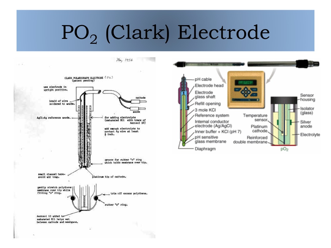 PO2 (Clark) Electrode slide image